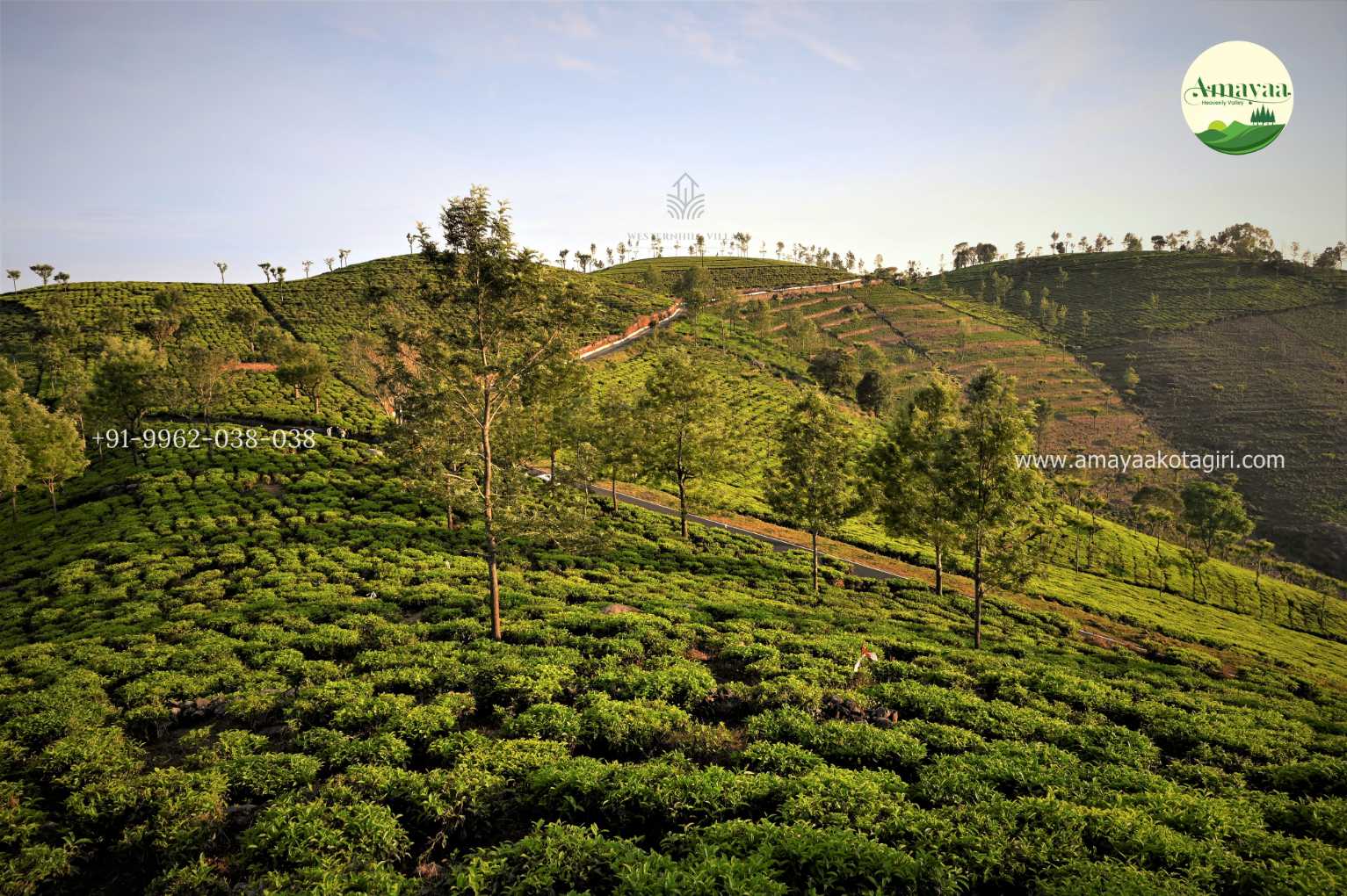 Main Campus